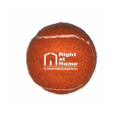 Pet Chew Toy Tennis Ball - Orange w/ White Imprint 
