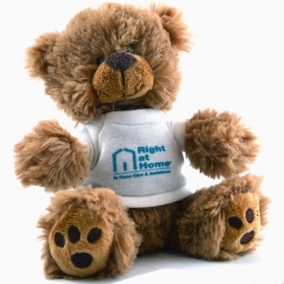Plush Teddy Bear 